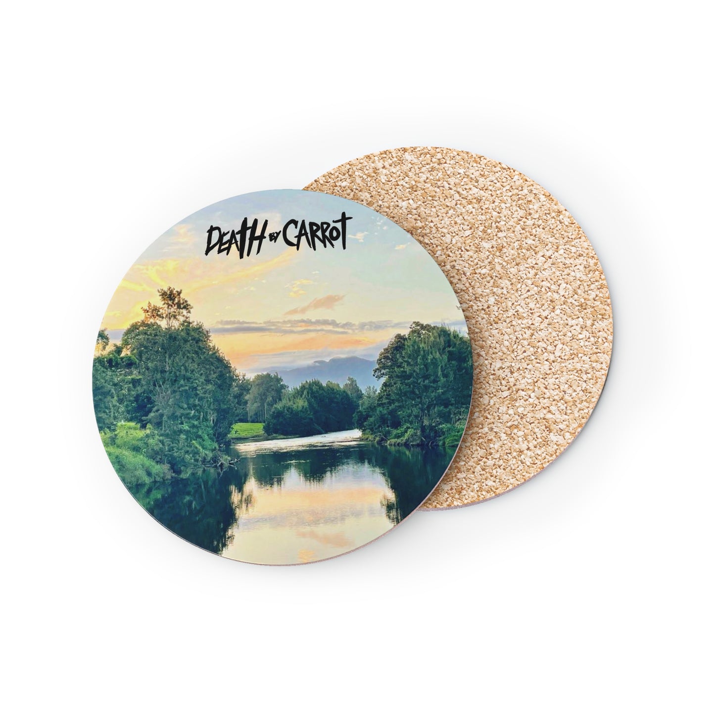 Into the River Coaster